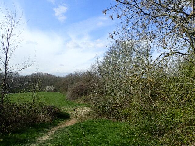 View from the High Weald Landscape Trail