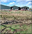 Forrest Farm buildings