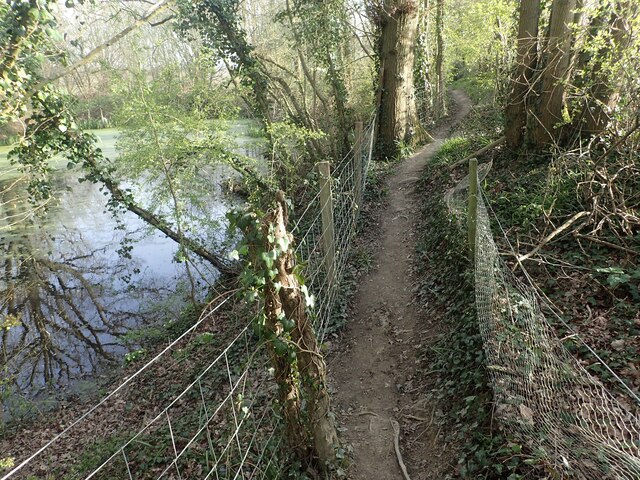 Footpath past a pond in Five Acre Wood