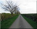 Driveway to Teigh Lodge