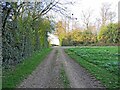 Track away from the fields near to Teigh Lodge