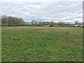 Ash Green Meadows