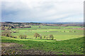 View from a Ridge