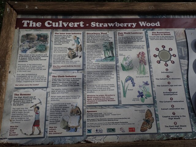 Information board about the Culvert in Strawberry Wood
