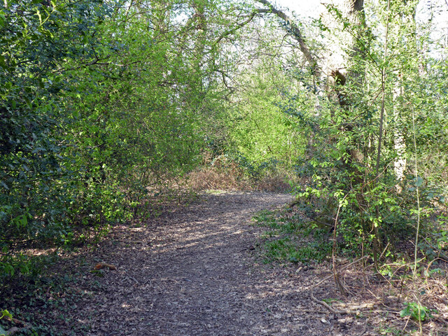 Path, Broadfield, Crawley
