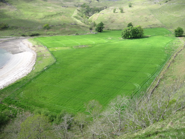 Fertile fields beside Camas nan Geall