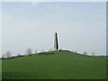 NZ1476 : Obelisk at Kirkley Hall by Les Hull