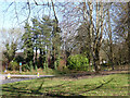 Wooded roundabout near Broadfield Barton, Crawley