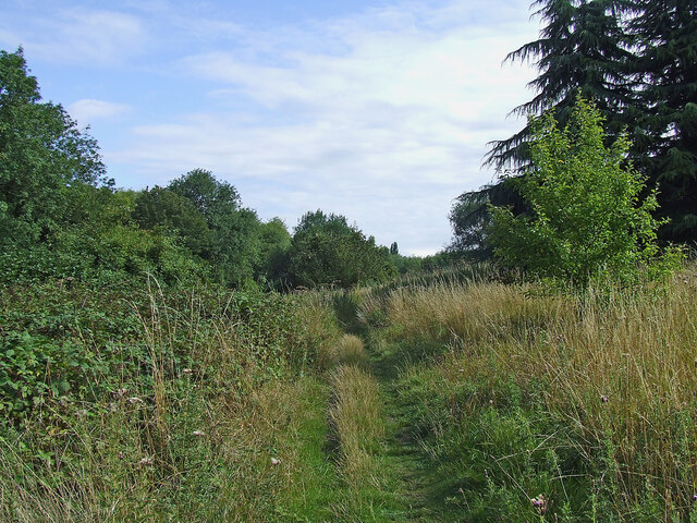 Track in Smestow Valley Nature Reserve near Compton, Wolverhampton