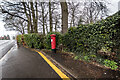 George VI Post Box (1936-1952), Stafford