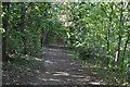 Footpath by the River Medway