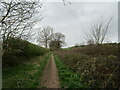 Bridleway to Hunger Hill