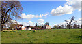 South Park seen from Knaresborough Road (B6164), Little Ribston