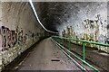 Brinnington Tunnel