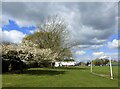 The Mount playing fields, Ospringe