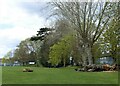 The northern edge of The Mount playing fields, Ospringe