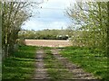 SK6745 : Farm track and field. Lowdham by Alan Murray-Rust