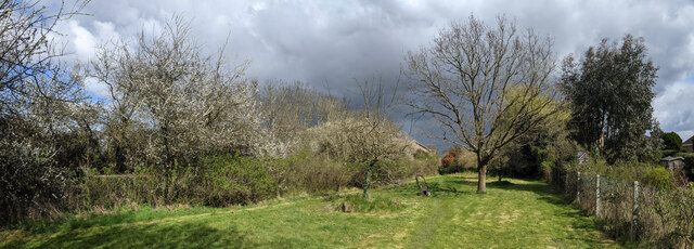 Stormlight in my Orchard