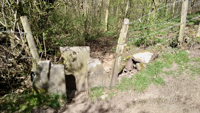Stile into Whitley Wood