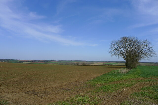 View over fields on the edge of Wilsford Heath