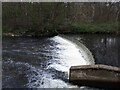 SE2634 : Weir for the former Burley Mills by Stephen Craven