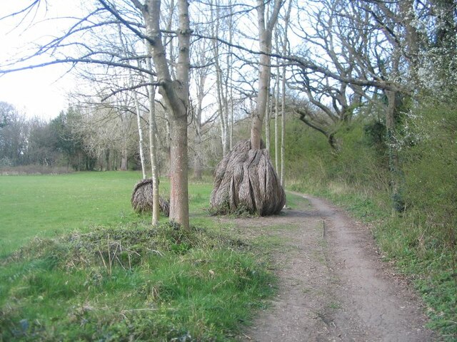Willow sculpture, University of Warwick campus