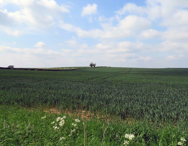 Field north of Harthill Road