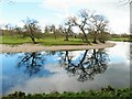 River reflections