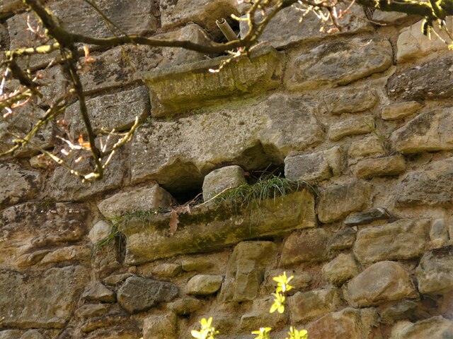 Detail, Old dovecote, Old Mains