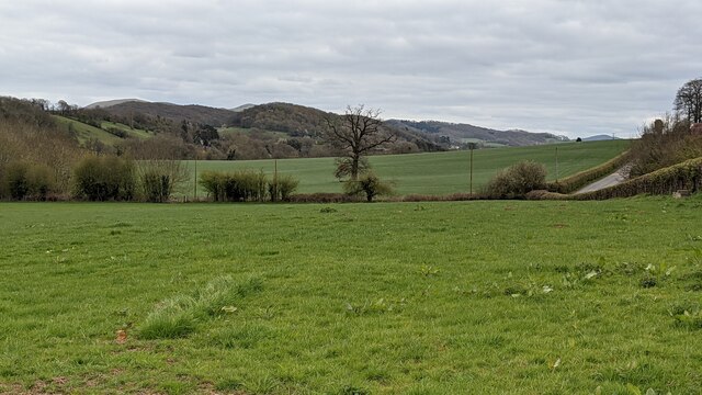 The Suckley and Malvern Hills © Fabian Musto :: Geograph Britain and ...