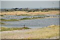TQ9317 : Birds, Lake, Rye Harbour National Nature Reserve by N Chadwick