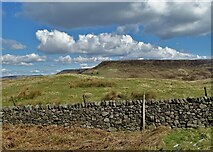 SK0476 : Drystone wall and Combs Edge by Neil Theasby