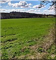 Field west of Faskine Farm