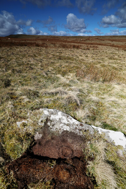 Cup and ring marked stone, Kearton Rigg