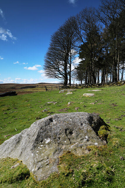 Cup-marked rock, Sunny Brow