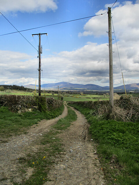 Farm Laneway