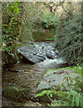 Stream confluence, Blackpool Valley