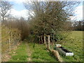 Footpath to Cranbrook Road