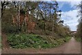 Cycleway and footpath near Stourport-on-Severn