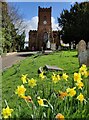 Saint James church, Hartlebury