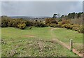 Hartlebury Common