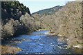 The Tweed upstream from Yair Bridge