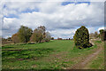 Bridleway and farmland near Seisdon in Staffordshire