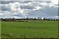 Brookville, Thornham Farm: Cereal crop