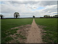 Footpath near Springdale Farm