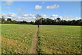 Footpath crossing field