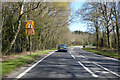 A264, Copthorne Road