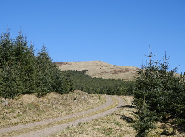 Cushat Law from Kidland Forest