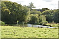 Pond west of Langley Loch