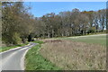 Lane and field edge north of Warren Farm